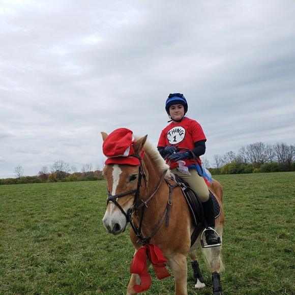 Meet your Posher, Jen - Picture 1 of 1